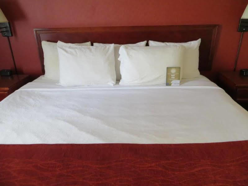 Comfort Inn & Suites University Calgary Bagian luar foto
